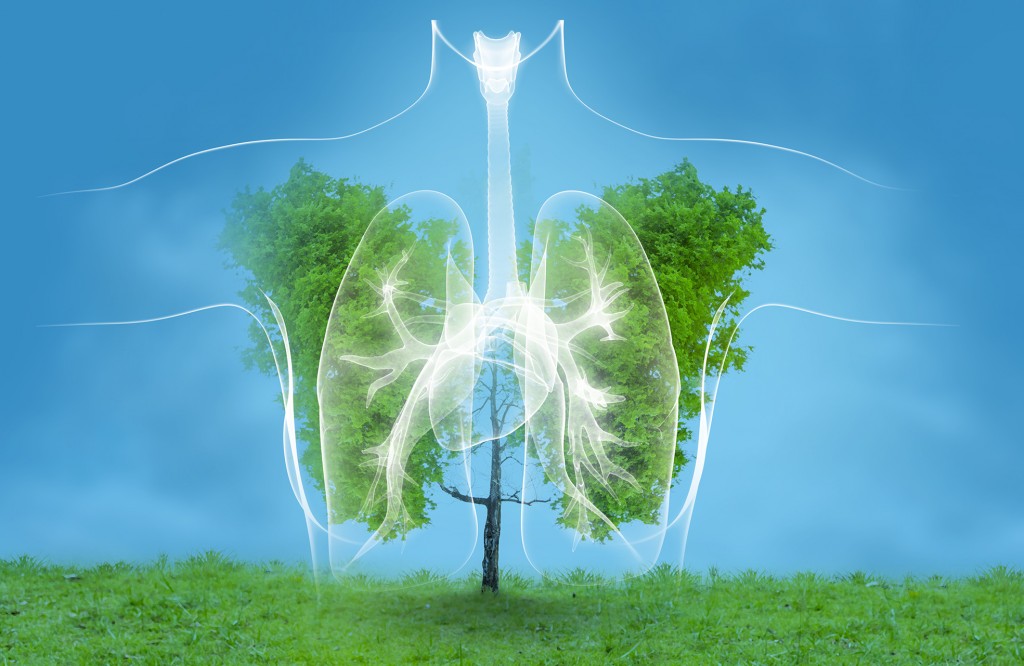 Lung green tree-shaped images, medical concepts, autopsy, 3D display and animals as an element